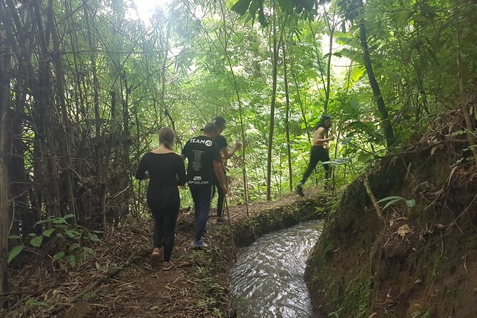 1 Day Trekking in Chiang Mai - The big idea: hiking past the tourist shortcuts