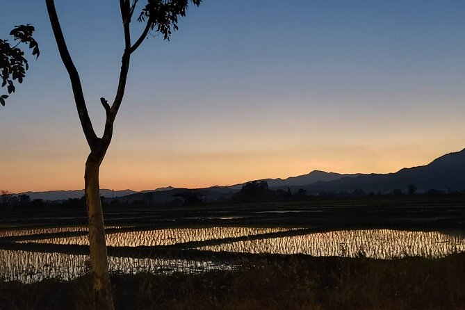 1 Day Trekking in Chiang Mai - Fit for families: how this works with kids