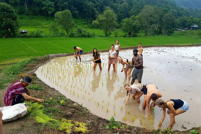 1 Day Trekking in Chiang Mai - Weather and safety: the one big thing you can’t ignore