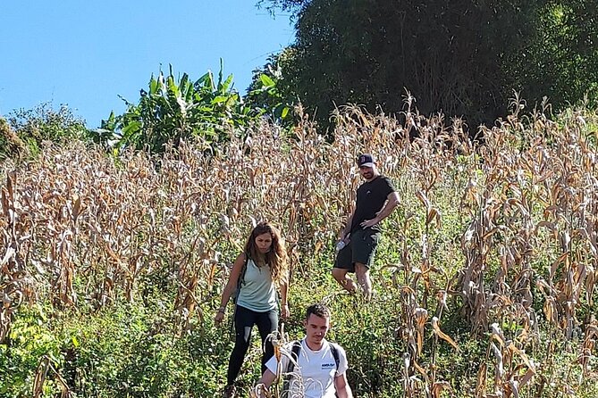 1 Day Trekking in Chiang Mai - Who this trek is best for (and who should skip it)
