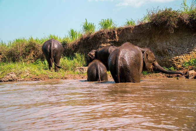 11 Day Tuk Tuk Adventure in Northern Thailand - Tuk-tuk driving in Northern Thailand is the whole point