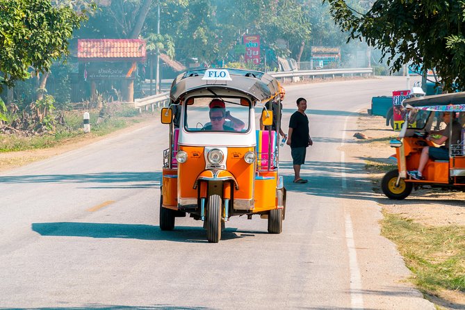11 Day Tuk Tuk Adventure in Northern Thailand - Day 2: Elephants at a forward-thinking home, then bamboo rafting