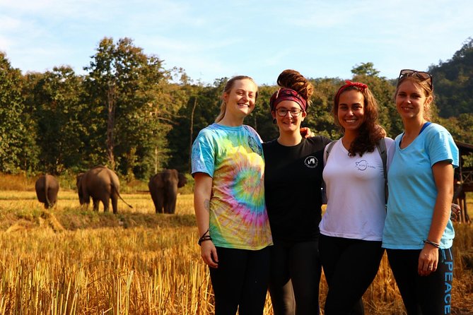 2-Day Kindred Spirit Elephant Sanctuary in Chiang Mai - Day 2: Early forest hike to find elephants and a picnic lunch