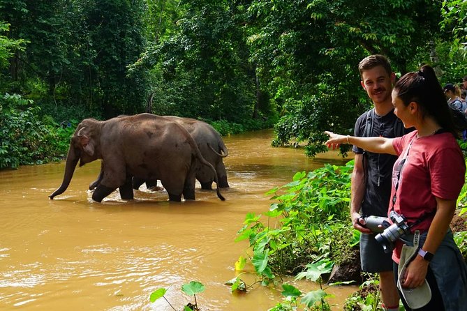 2-Day Kindred Spirit Elephant Sanctuary in Chiang Mai - Who this tour suits (and who may not love it)