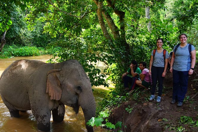 2-Day Kindred Spirit Elephant Sanctuary in Chiang Mai - Settling in: cooking with your hosts and learning basket weaving