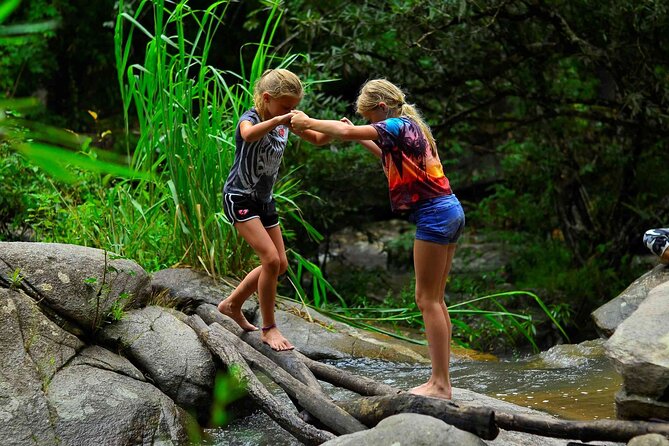 2 Days Hiking Tour in Chiang Mai - What you’re paying $130.21 for (and why it can be good value)