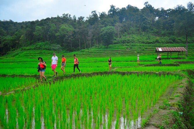 2 Days Hiking Tour in Chiang Mai - The practical side: timing, group size, and comfort tips
