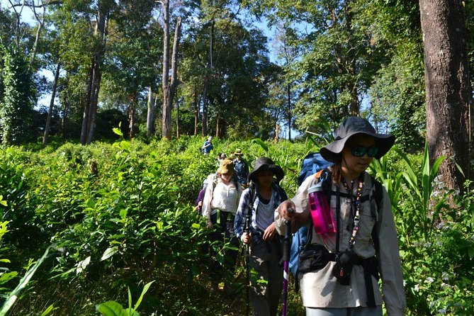 3-Day Chiang Dao Mountain Trek - Day 1: the market stop and your first real hours in Chiang Dao hills