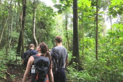 3-Day Chiang Dao Mountain Trek - Your guide makes the difference: Tan, Sap, and “walking with a translator”