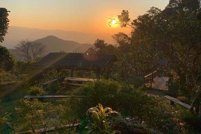 3-Day Chiang Dao Mountain Trek - Day 2: jungle and ridge trails—the toughest day