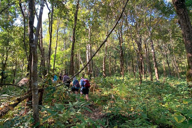 3-Day Chiang Dao Mountain Trek - Homestays and meals: real life, with a side of village sounds