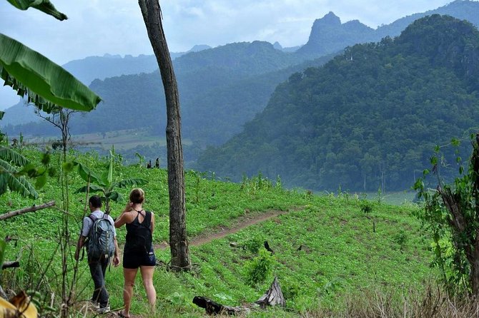 3-Day Chiang Dao Mountain Trek - Small-group size: why the hike feels personal