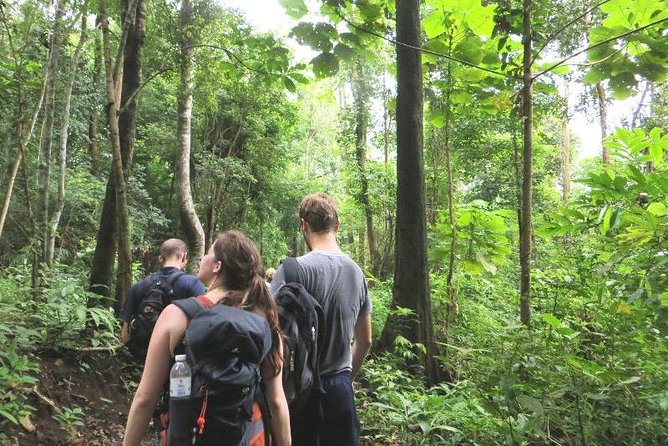 3-Day Chiang Dao Mountain Trek - Your guide makes the difference: Tan, Sap, and “walking with a translator”