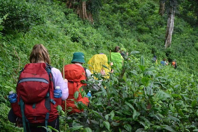 3 Day Motorcycle Tour (Mae Hong Son Loop) from Chiang Mai, Thailand - Day 3: Pai morning moments, the WWII Memorial Bridge, and the return toward Chiang Mai