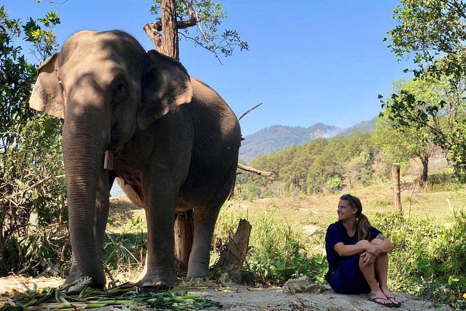 3-in-1: Doi Inthanon Tour, Elephant Sanctuary, and Trekking Trail - The Phak Dok Seaw trek: rice terraces, wildlife, and a real waterfall payoff