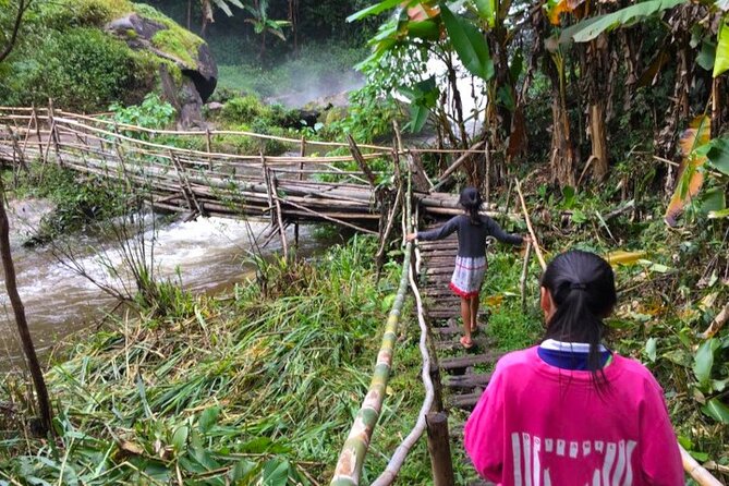 3-in-1: Doi Inthanon Tour, Elephant Sanctuary, and Trekking Trail - Ban Mae Klang Luang: coffee, community, and a breather