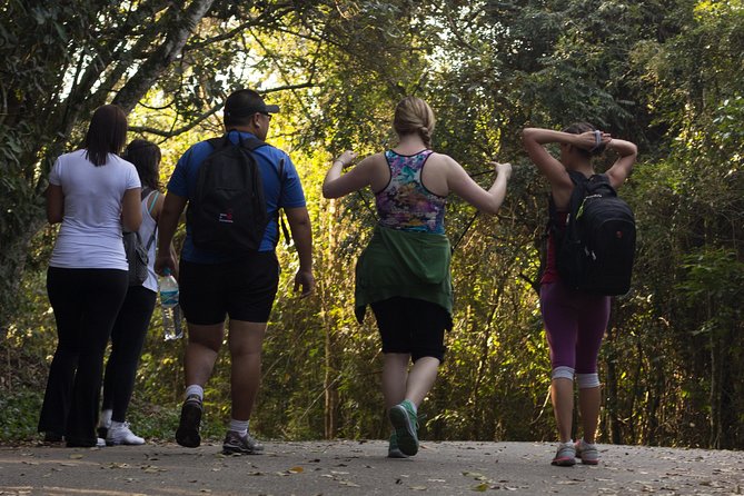 3D2NTrek Adventure at Chiang Mai Mea Wang Including Overnight at Karen Hilltribe - Your guide experience: small group attention and the Witoon factor