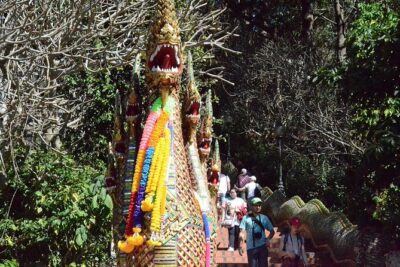 4 days Package Northern Charms. - Bua Thong (Sticky Waterfalls): a nature stop with easy hit-the-ground fun