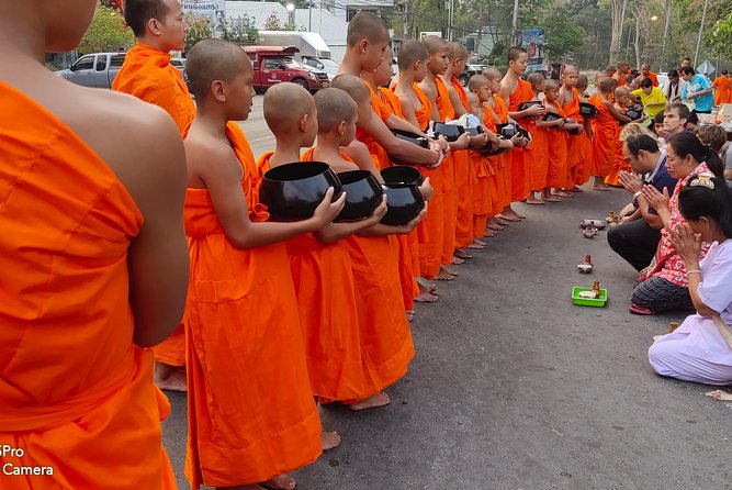 4 highlights: Sticky Waterfall/Elephants/local market /Wat Banden - Lunch nearby: where the day regains balance