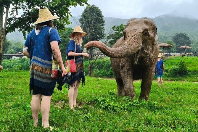 4 in 1 Elephants Long Neck Rafting and Sticky Waterfall Tour - Price and logistics: is $88.01 good value?