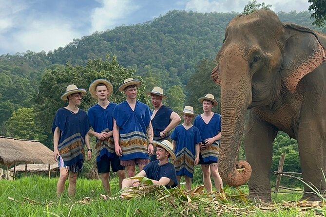 4 in 1 Elephants Long Neck Rafting and Sticky Waterfall Tour - Should you book the 4-in-1 elephants, sticky waterfall, and rafting tour?