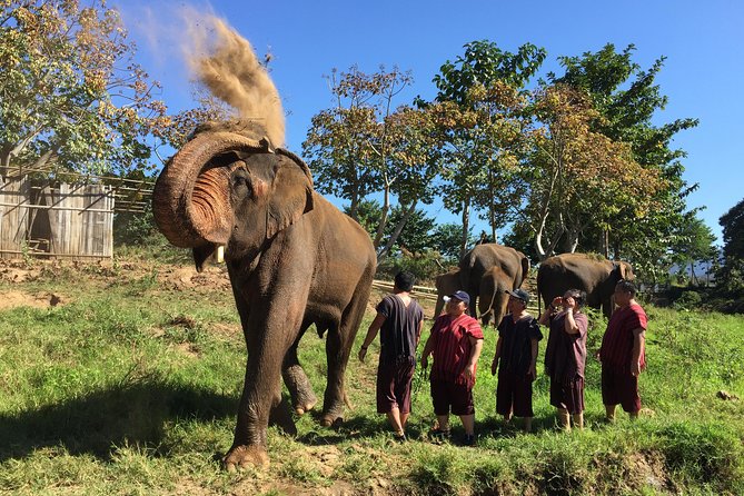 5 Day Tuk Tuk Adventure in Chiang Mai - with driver - Why the tuk tuk format changes everything in Northern Thailand