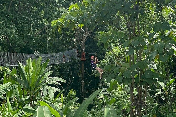 7 Hour Sticky Waterfall and Zipline Adventure - Sticky Waterfall’s rope-free climb: the main reason to go