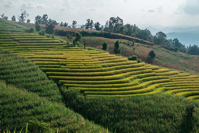 A Day Trip to Doi Inthanon Escape to Nature - King and Queen Stupas: culture with a view
