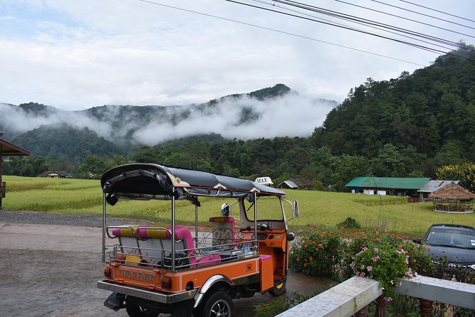 A stunning 11 Day Tuk Tuk Adventure in Northern Thailand - with driver - Day 2: Maevang Elephant Home and the Mae Sapok valley feel