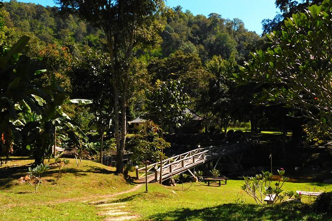 Authentic Mae Kham Pong Village Cultural Experience - Thai market stop: where your cooking starts (and why it matters)