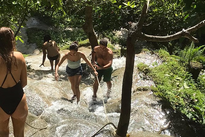 Best of Chiang Mai: Private Tour in a Day - Wat Phra That Doi Suthep: 306 steps, a golden pagoda, and city views
