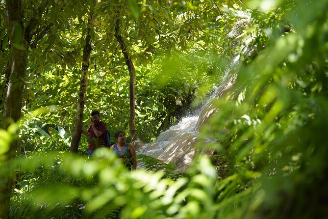 Bua Tong Waterfall Adventure& Huge Cave included Thai Buffet Tour - Lunch + Snacks: Why Included Food Matters on a Rain-Through-the-Rocks Day