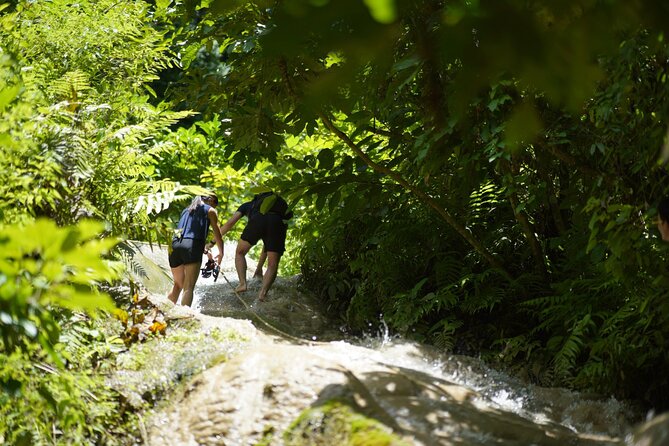 Bua Tong Waterfall Adventure& Huge Cave included Thai Buffet Tour - Shoes, Weather, and Staying Comfortable on Sticky Rocks