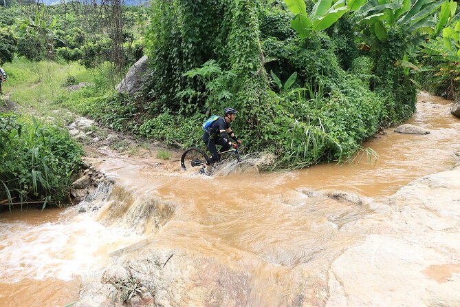 Buffalo Soldier Full Day Mountain Biking Tour Chiang Mai - Trailhead coffee, briefing, and where the day starts clicking
