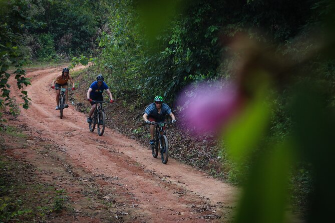 Buffalo Soldier Trail Mountain Biking Tour from Chiang Mai with Lunch - The small-group format and what it means on the trail