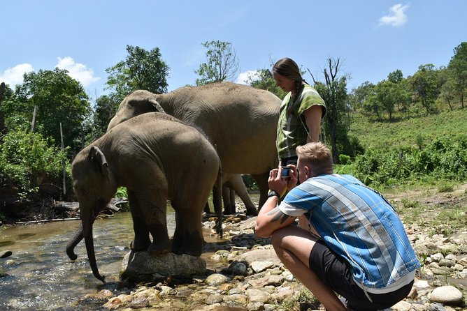 Care Pride Elephants: Full-Day Tour Experience - Mud bath help and river rinsing: the messy highlight