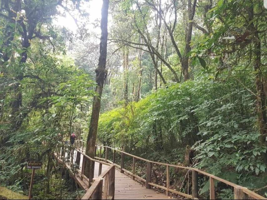 Chang Mai: Doi Inthanon Day Tour w/Waterfalls & Hilltribes - Why Doi Inthanon feels like a reset from Chiang Mai