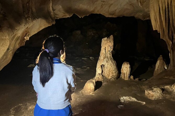 Chiang Dao Cave & 5 Hill Tribe villages - Bai Orchid and Butterfly Farm: the calm, colorful reset
