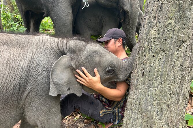 Chiang Mai 1 Day: Elephant Sanctuary, Waterfall & Bamboo Rafting - Ethical Elephant Sanctuary at Doi Inthanon: what it means in practice