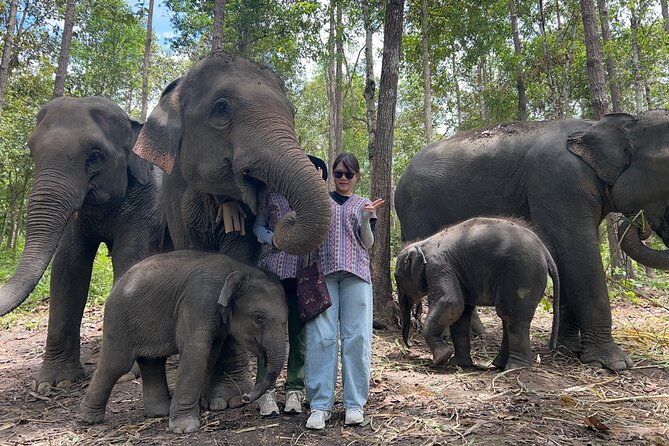 Chiang Mai 1 Day: Elephant Sanctuary, Waterfall & Bamboo Rafting - Mae Saphok Waterfall lunch: traditional Thai food with a cool-down