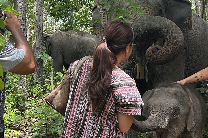 Chiang Mai 1 Day: Elephant Sanctuary, Waterfall & Bamboo Rafting - Bamboo rafting on Mae Saphok: slow views and real countryside feel