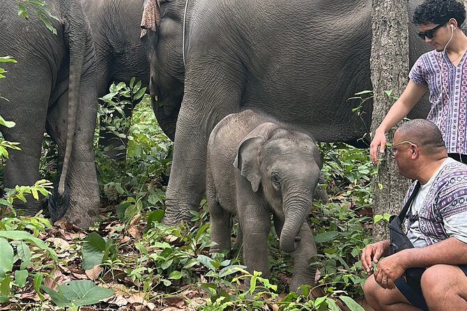 Chiang Mai 1 Day: Elephant Sanctuary, Waterfall & Bamboo Rafting - Group size, timing, and pace: how the day actually feels