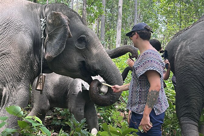 Chiang Mai 1 Day: Elephant Sanctuary, Waterfall & Bamboo Rafting - Who should book this Chiang Mai day trip?