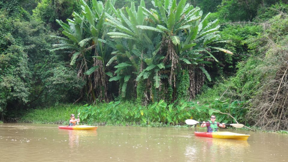 Chiang Mai: 15 km Leisure River Kayaking at Mae Ngat forest - A Quiet 15 km Kayak Near Mae Taeng Forest