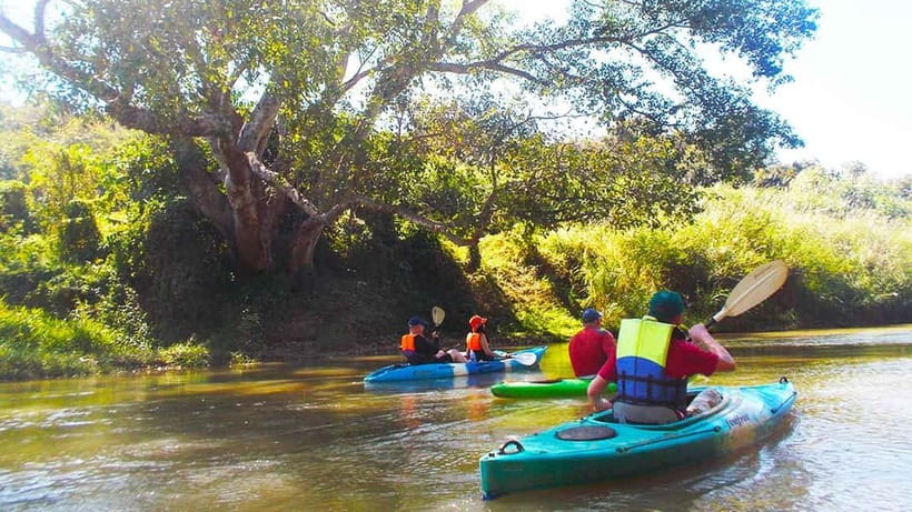 Chiang Mai: 15 km Leisure River Kayaking at Mae Ngat forest - The Mae Taeng Forest Reserve Finish and Your Shaded Landing