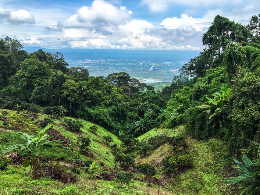 Chiang Mai: 20km Downhill Mountain Biking Challenge Suthep M - Who should book this downhill day (and who should skip it)
