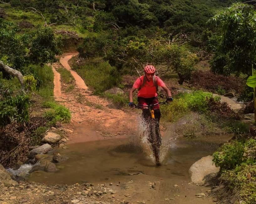 Chiang Mai: 20km Downhill Mountain Biking Challenge Suthep M - The morning flow: pickup, pro shop prep, then up the mountain