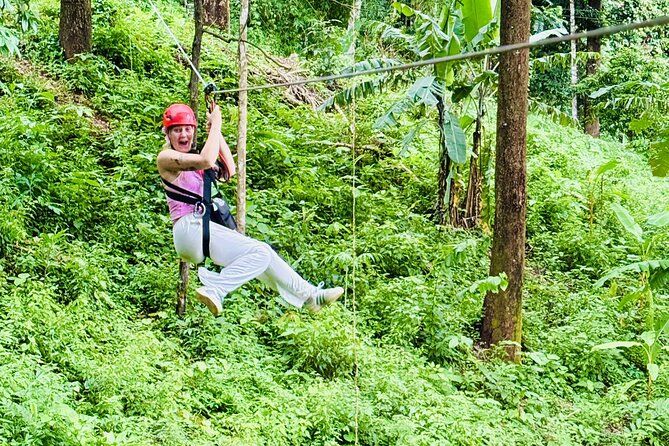 Chiang Mai 3 in 1 Zipline, Elephants and Sticky Waterfall - Elephant sanctuary time with caretaker supervision: close, respectful, and hands-on