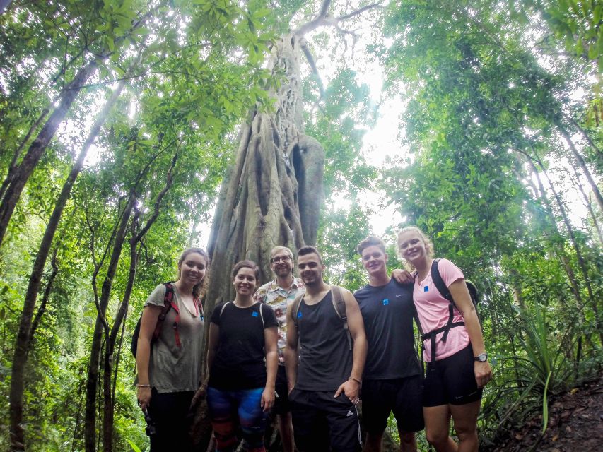 Chiang Mai: 7-Hour Doi Suthep National Park Summit Hiking - Key things that make this hike work