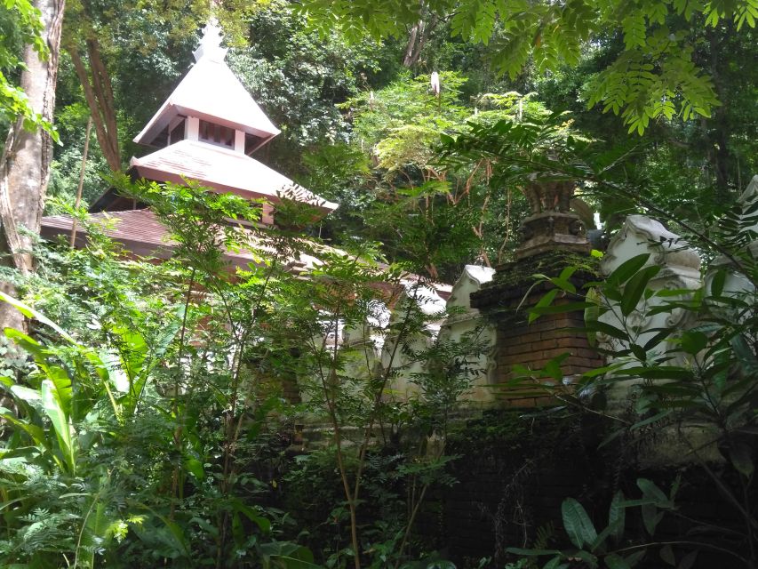 Chiang Mai: 7-Hour Doi Suthep National Park Summit Hiking - Doi Suthep-Pui trek to Doi Pui: where the real work is